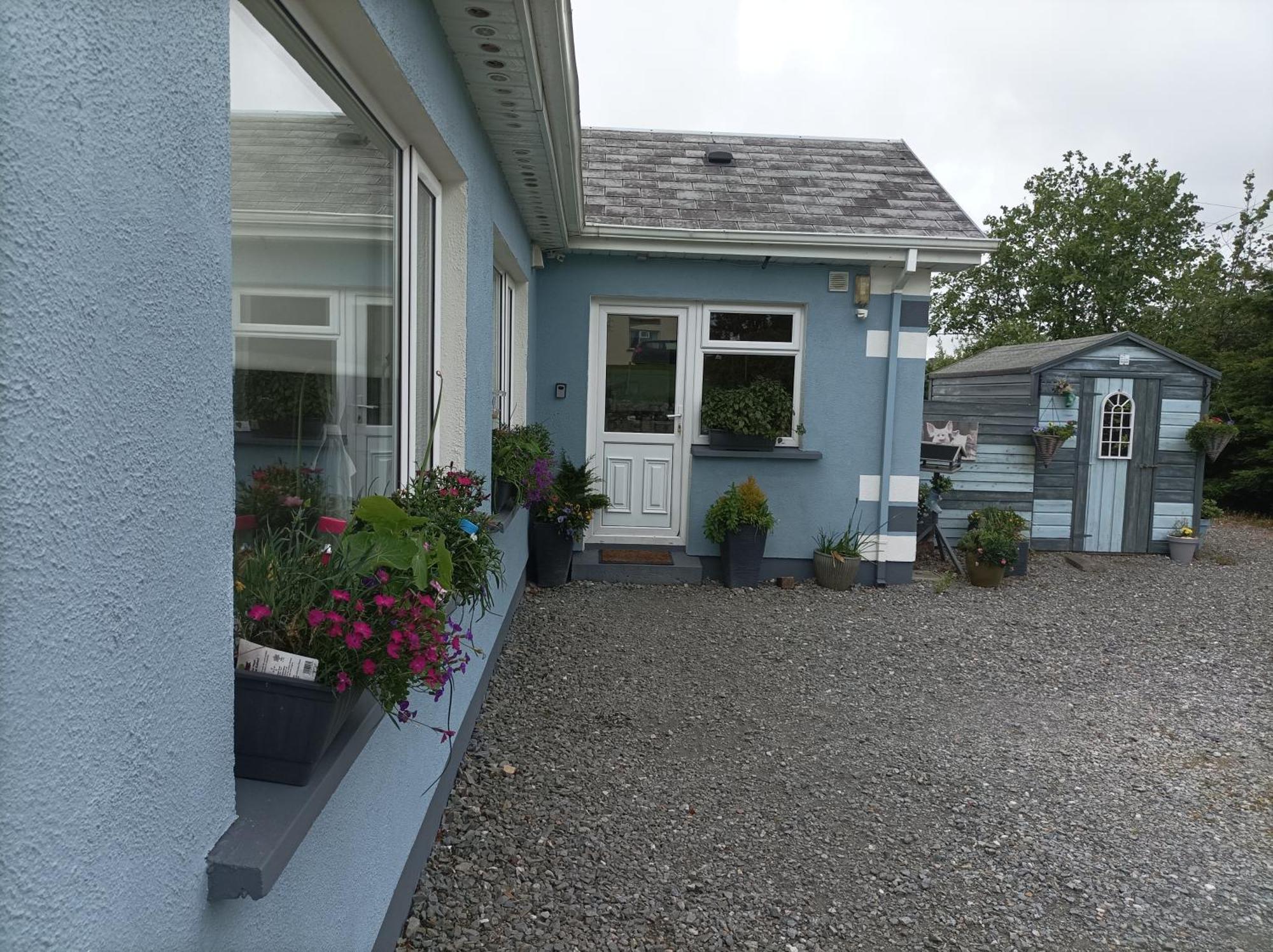Clifden Wildflower Cottage - Clifden Countryside Lettings 외부 사진