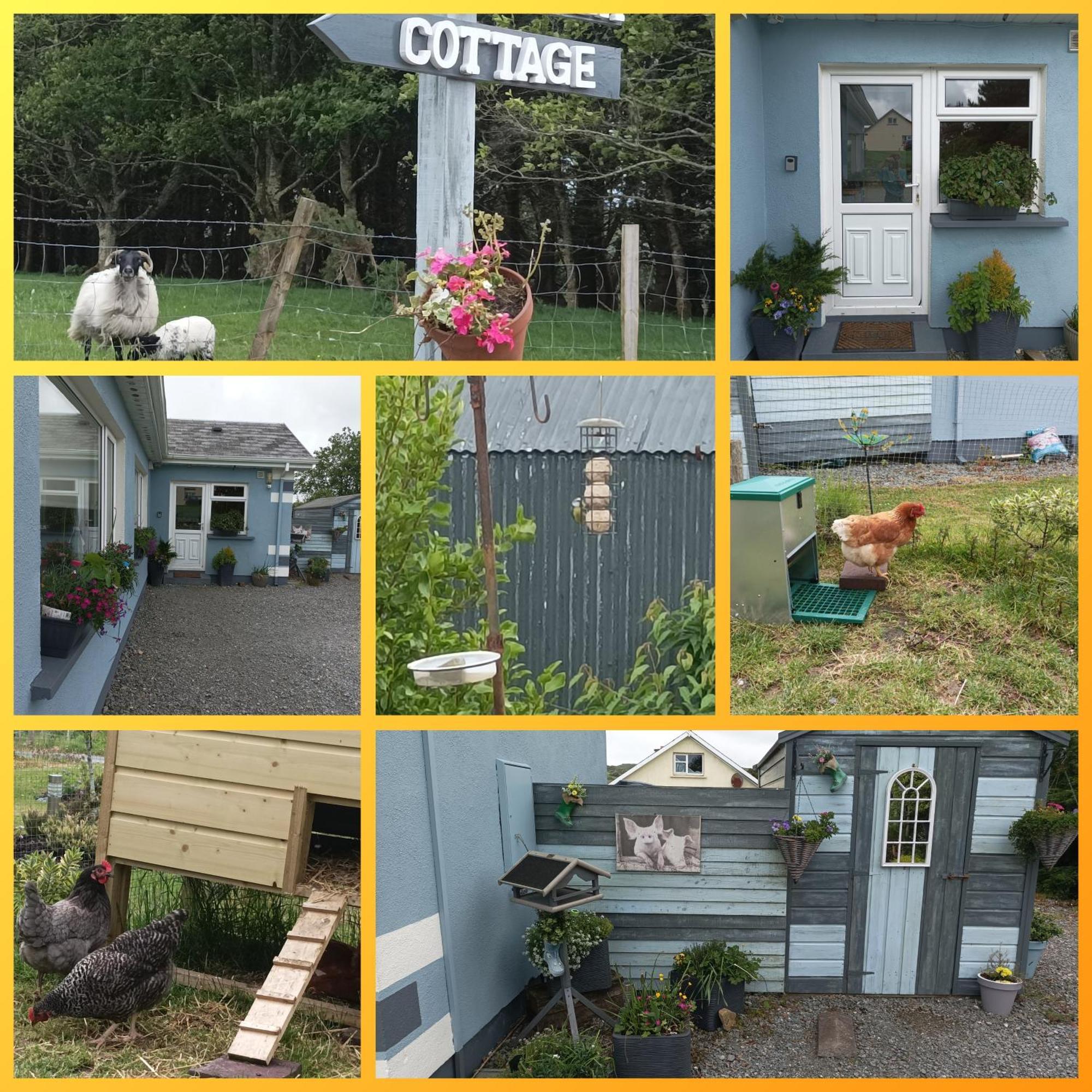 Clifden Wildflower Cottage - Clifden Countryside Lettings 외부 사진