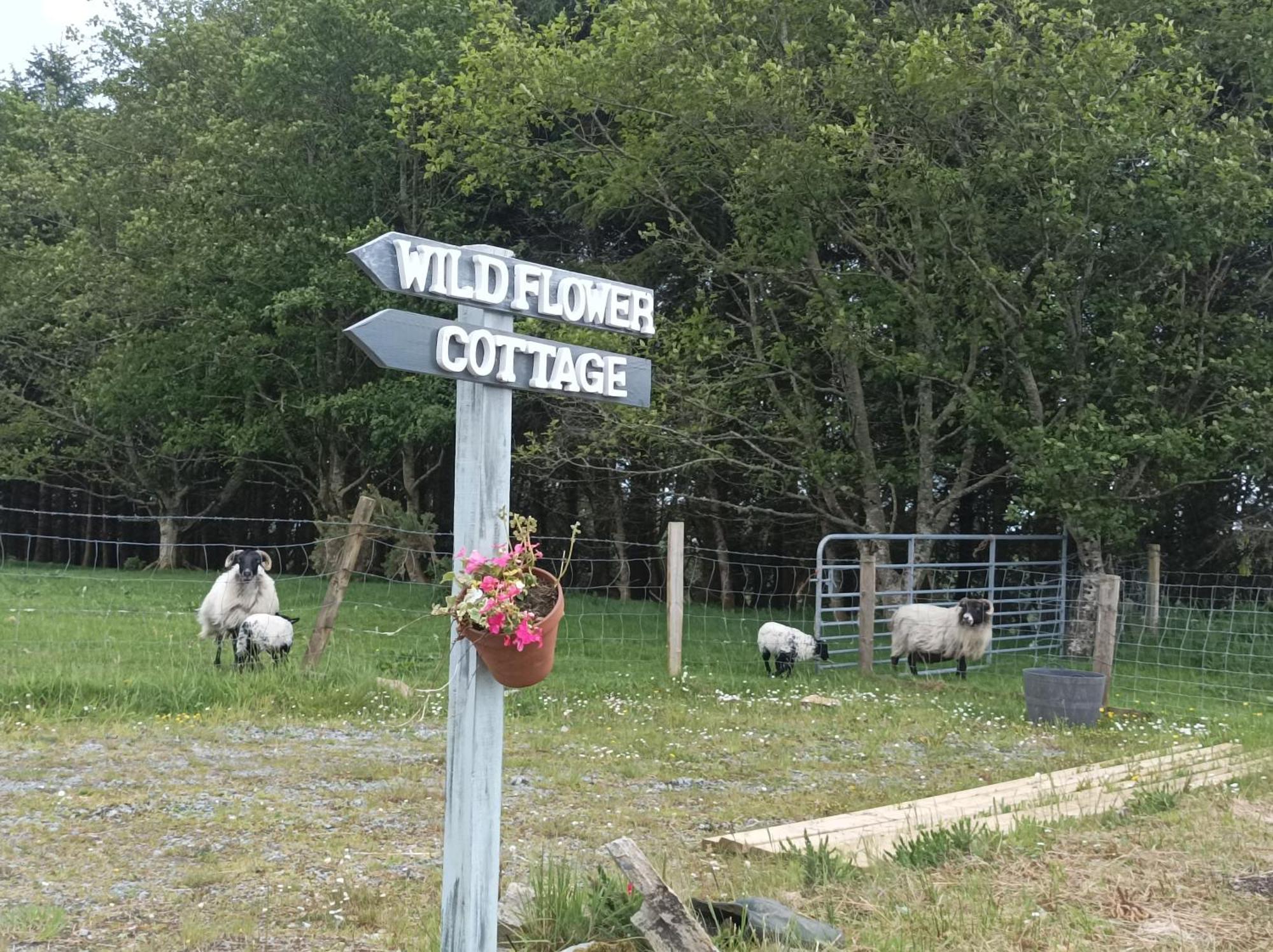 Clifden Wildflower Cottage - Clifden Countryside Lettings 외부 사진